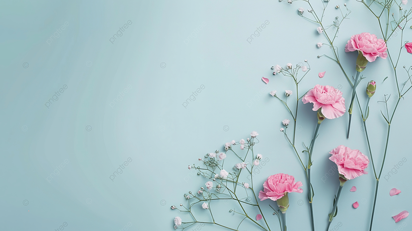 光合作用花艺